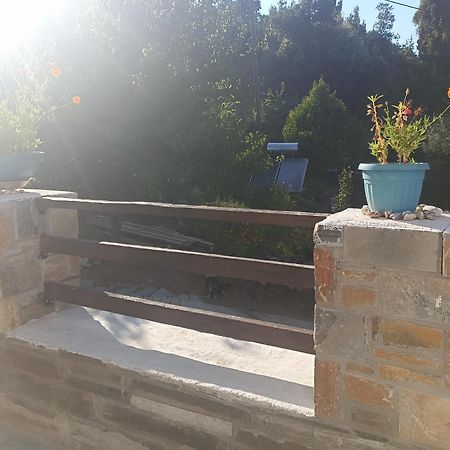 Apartments Spiros Pelion Kalamaki  部屋 写真