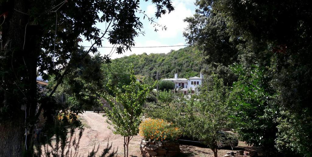 Apartments Spiros Pelion Kalamaki  エクステリア 写真