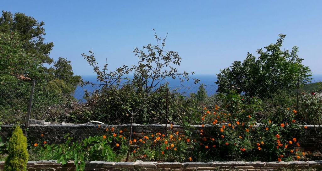 Apartments Spiros Pelion Kalamaki  エクステリア 写真